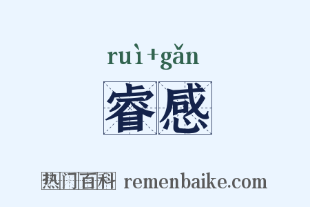 睿感是什么意思的图片